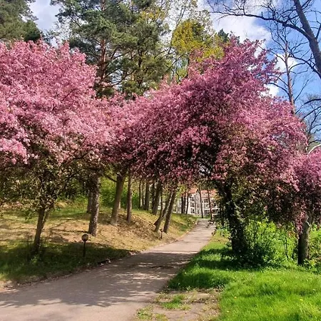 Perla Nr 19 Nad Jeziorem Pluszne