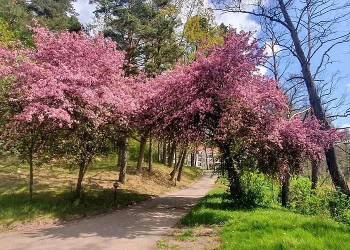 Perla Nr 19 Nad Jeziorem Pluszne